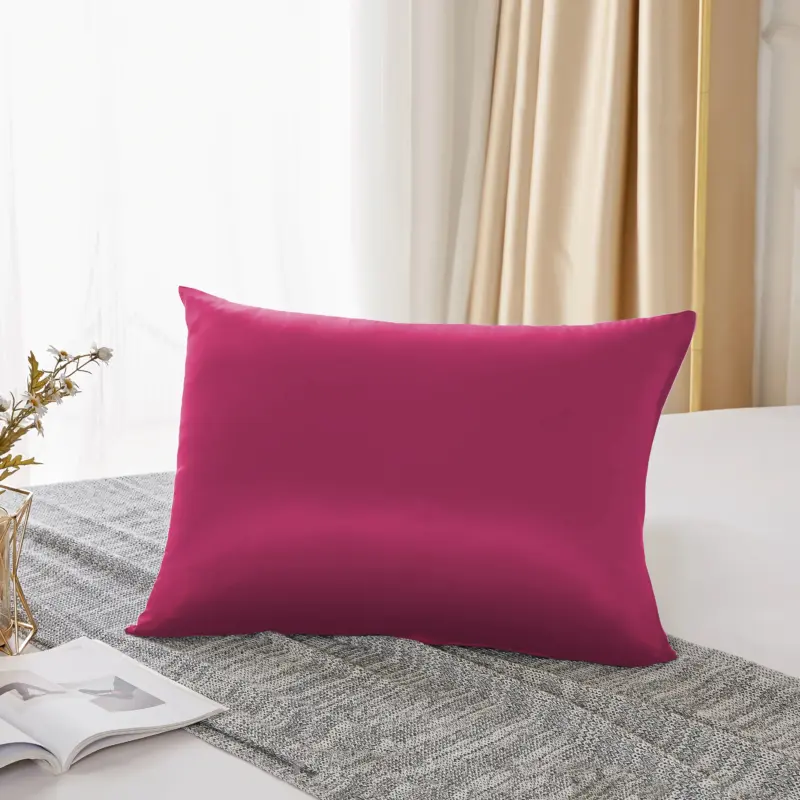 100% Mulberry Silk Pillowcase - 25 Momme Luxury Pure Silk Cover for Hair and Skin - Image 4