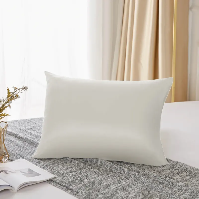 100% Mulberry Silk Pillowcase - 25 Momme Luxury Pure Silk Cover for Hair and Skin